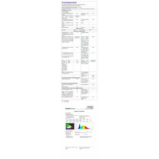 Flutlichtstrahler LED Fluter 30W mit Bewegungsmelder Mini