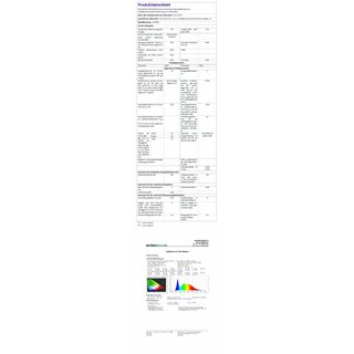 LED Flutlichtstrahler 10W Mini