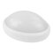 LED Kellerlampe 8W IP54 weiß schwarz oval 4000K 580lm Schiffsarmatur Decken