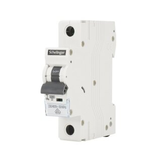 Leitungsschutzschalter LS-Schalter Sicherungsautomat Sicherung 1-Polig B oder C 2A - 63A VDE geprüft #1