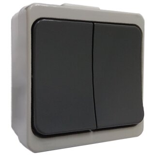 Doppelschalter WNT-2JB SZ